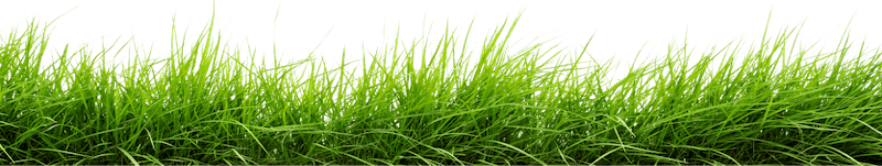 Grass footer image